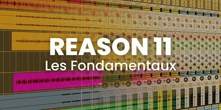 Reason 11 | Les fondamentaux