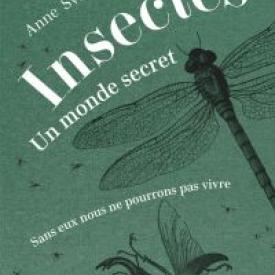 Insectes. Un monde secret