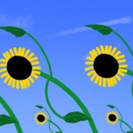 Tournesol